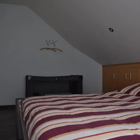 La Bordure De La Forêt